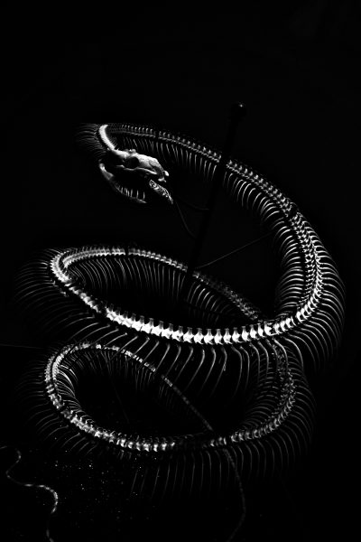 R0001931